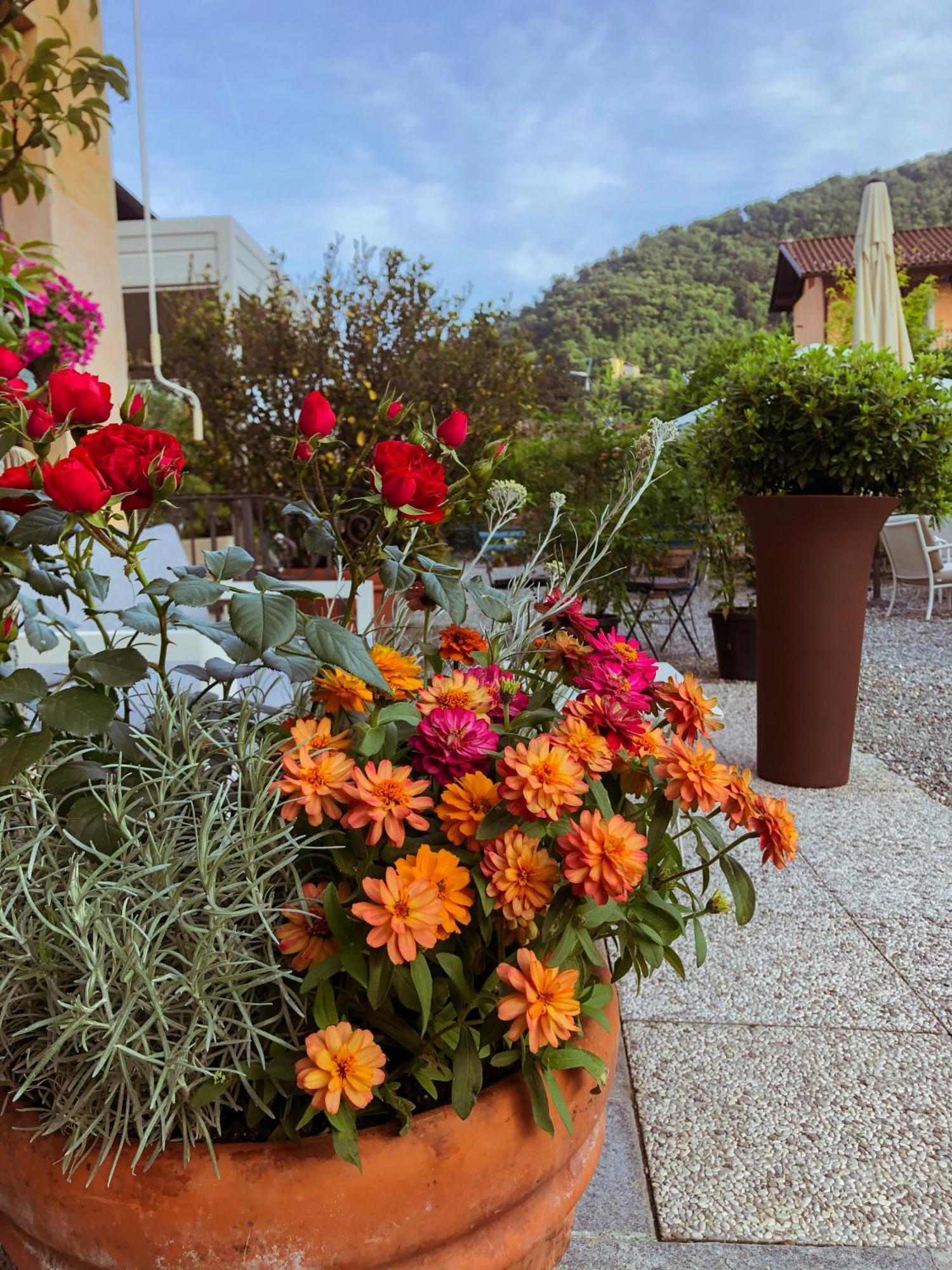 Hotel Antica Stallera Cannobio Bagian luar foto